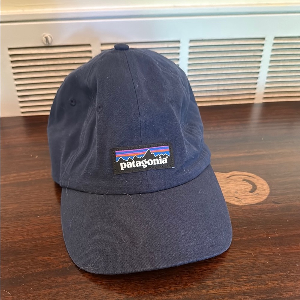 Patagonia Navy Blue Cap